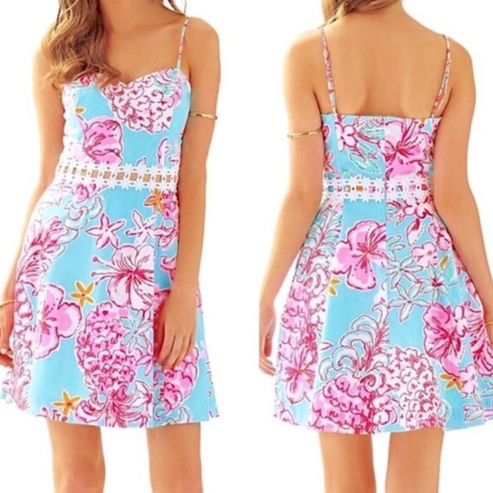 Lilly Pulitzer Lenore Dress Size 2